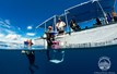 Rock Islands Aggressor Diving Skiff